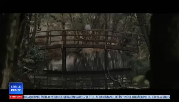 Cristopher Robin, o producție care ne întoarce pe tărâmul copilăriei