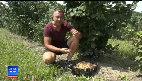 Afacerea profitabilă care prinde contur în România. Venitul e de aproximativ 10 mii de €