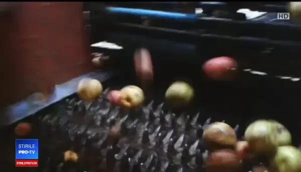 Cidru românesc, premiat de experți în Hong Kong. Producţia s-a dublat şi a ajuns la 15 milioane €