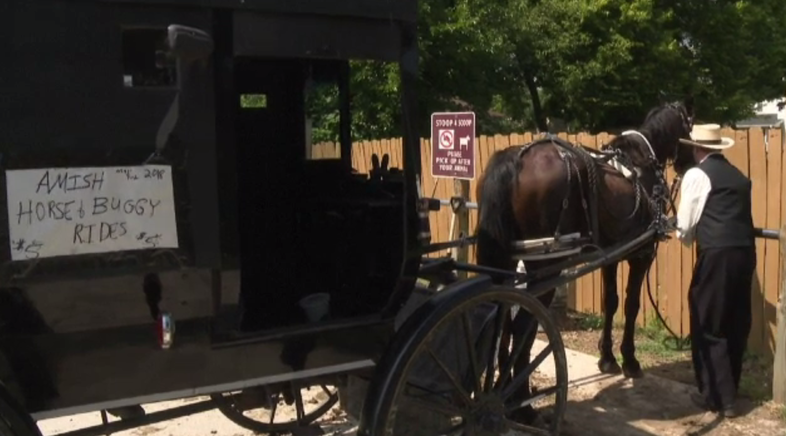 Primul Uber cu tracțiune animală. Prețul de la care pornește o cursă cu trăsura