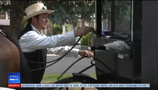 Primul Uber cu tracțiune animală. Prețul de la care pornește o cursă cu trăsura