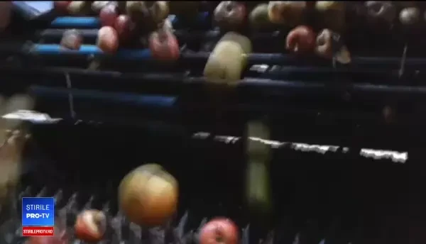 Cidru românesc, premiat de experți în Hong Kong. Producţia s-a dublat şi a ajuns la 15 milioane €