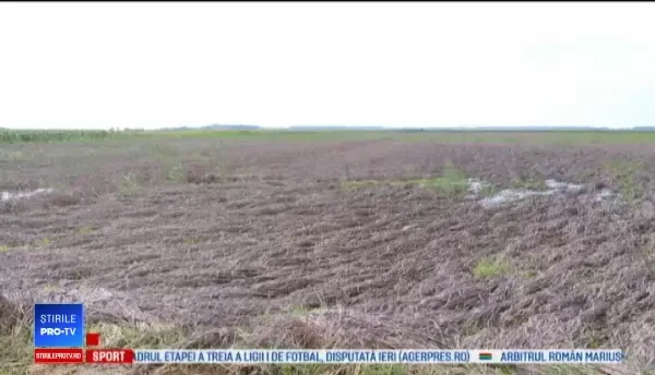 Pagube uriașe după ploile torențiale. Mii de hectare s-au transformat în mlaștini