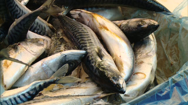 Peștele oceanic, în preferințele românilor. Care este cea mai apreciată specie