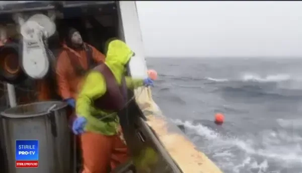 Peștele oceanic, în preferințele românilor. Care este cea mai apreciată specie