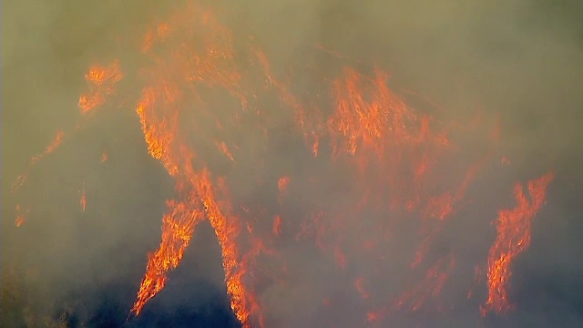 Incendii devastatoare în California. De ce se tem pompierii că nu le vor stinge până în septembrie