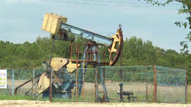 Sătenii din Argeș s-au trezit, iar, cu petrol în grădini. ”Pun o floare, se usucă”