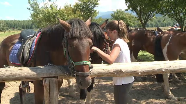 Cât de costisitoare sunt orele de echitație. Pasionații scot din buzunar 70 de lei pe oră