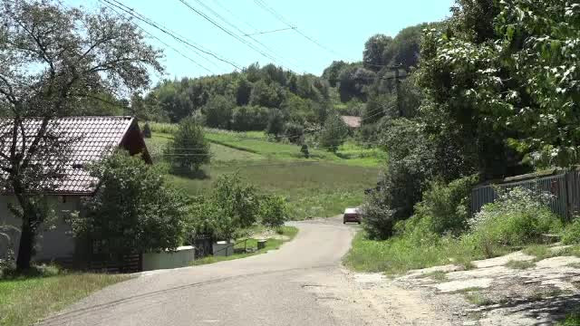 Primarii din sate și comune, învinși de tânțari. ”Ne-au prins un pic nepregătiți”