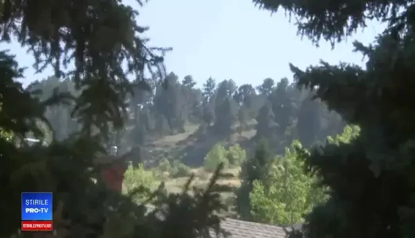 O pumă a intrat în casa unor americani, pe fereastră. Ce au descoperit după ce felina a plecat