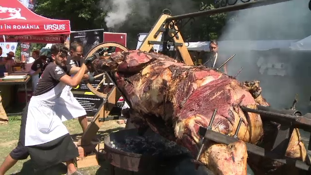 Taur uriaș la proțap, pregătit în Sibiu. Reacțiile turiștilor străini