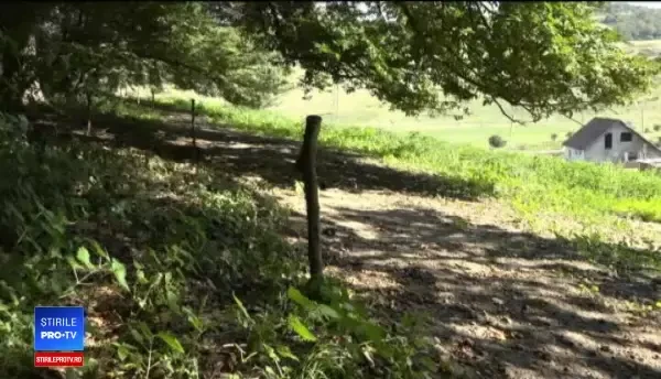 Localnicii din Mureș, terorizați de un urs: