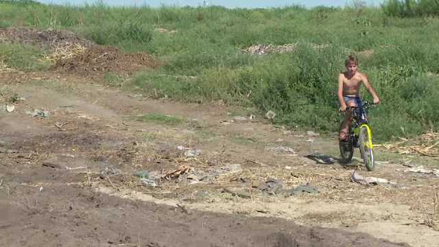 După pesta porcină, alt pericol îi pândește pe săteni. Ce se întâmplă cu gropile în care sunt duși porcii sacrificați