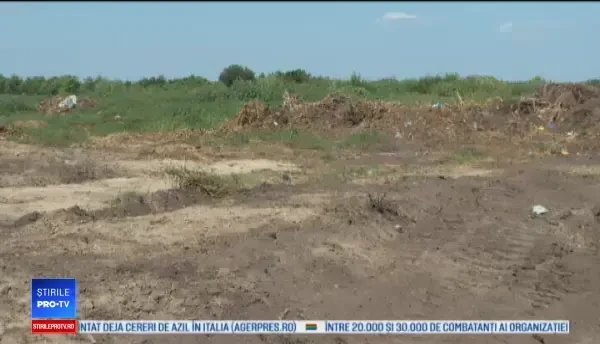 După pesta porcină, alt pericol îi pândește pe săteni. Ce se întâmplă cu gropile în care sunt duși porcii sacrificați