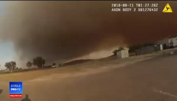 Incendiile din California. Povestea polițistei care și-a riscat viața, ca să salveze animalele dintr-un adăpost