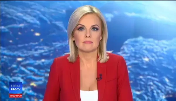 Premierul Dăncilă s-a întâlnit cu o delegaţie a Congresului SUA. Discuțiile purtate