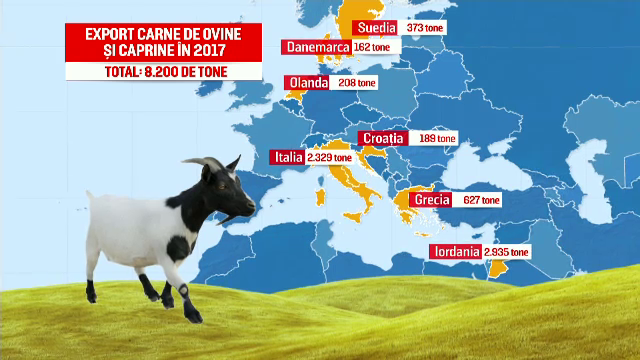 După pesta porcină, o nouă boală amenință animalele. ”Pentru noi ar fi falimentul”