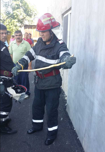 Un bărbat a sunat la Jandarmerie, după ce a găsit un șarpe sub capota mașinii
