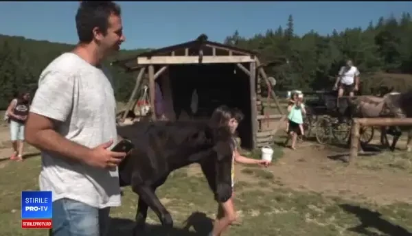 Distracția pentru care o familie a cheltuit, la munte, 500 de euro în două zile