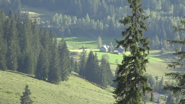 Bucovina, turism