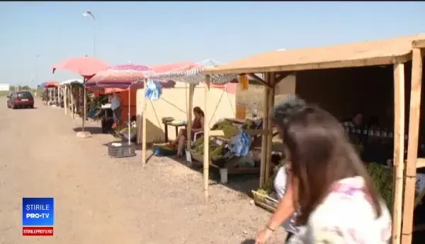 Mustul de struguri și-a făcut apariția pe tarabele din piețe. Prețul unui litru