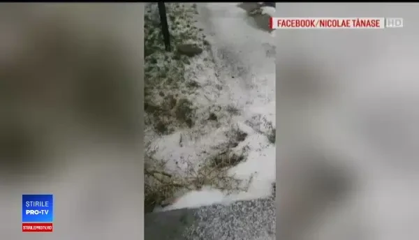 Reacția unui italian care și-a pierdut numărul la mașină pe o stradă inundată din România