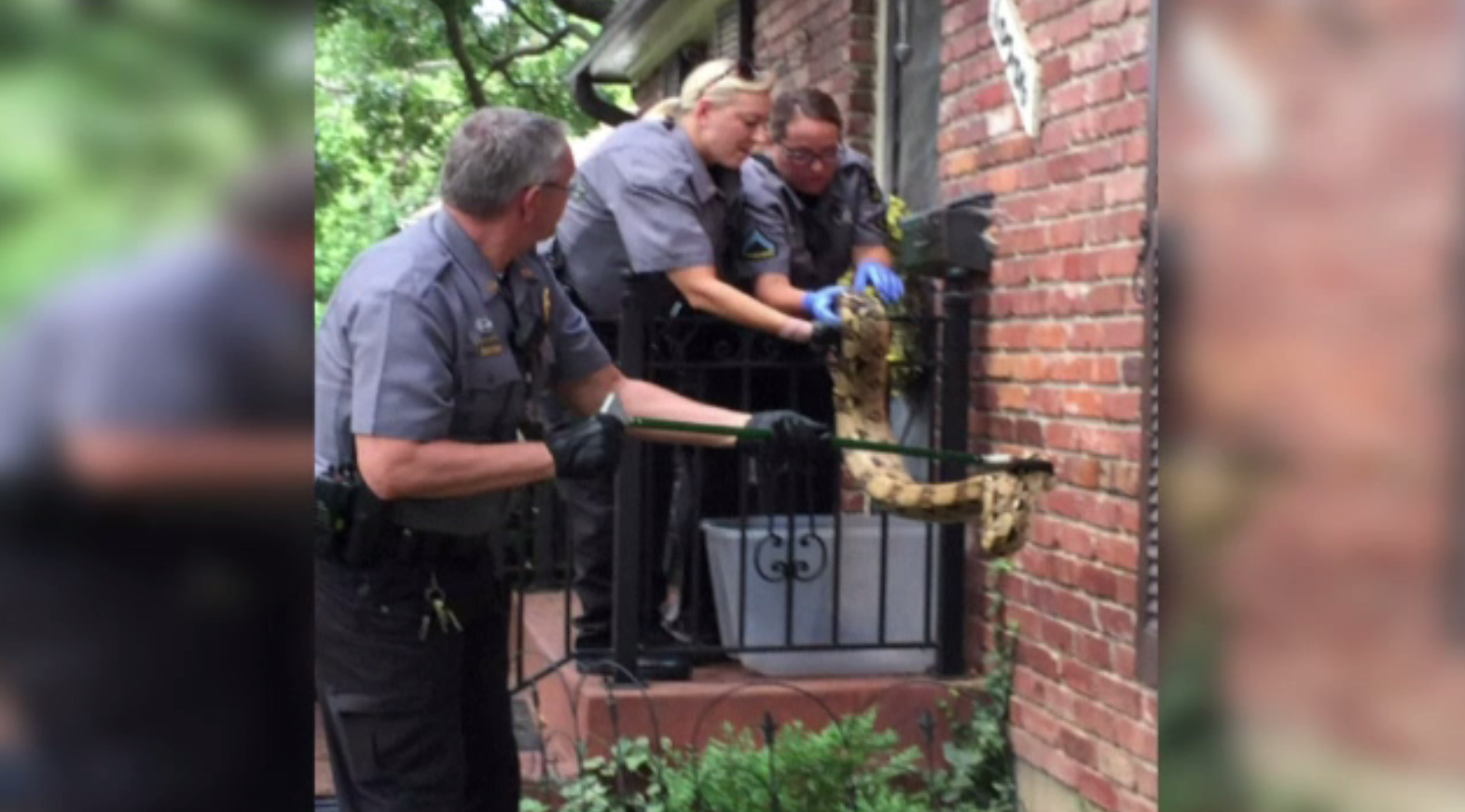 Ce a găsit un poștaș lângă o cutie poștală. A anunțat imediat poliția