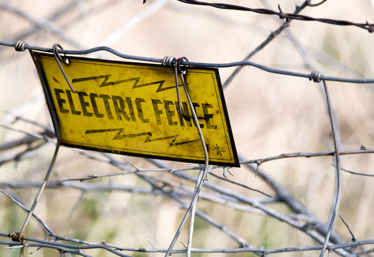 Fiica unui celebru fotbalist a murit electrocutată de gardul electric al casei