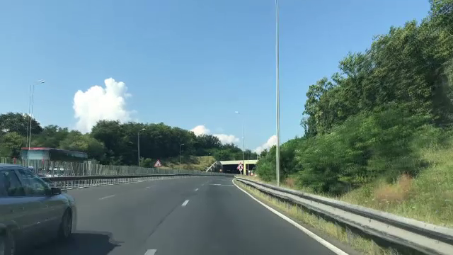 Doi urși, uciși de mașinile ce trec pe autostrada Sibiu – Orăştie: „La viața noastră ne gândim”