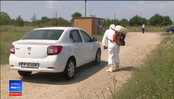 Virusul pestei porcine africane, lângă Bucureşti. Autorităţile sunt în alertă