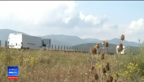 Doi urși, uciși de mașinile ce trec pe autostrada Sibiu – Orăştie: „La viața noastră ne gândim”