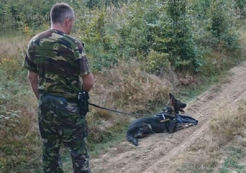 Doi bărbaţi au sărit în Tisa şi au înotat până în Ucraina când au văzut poliţia. De ce se temeau
