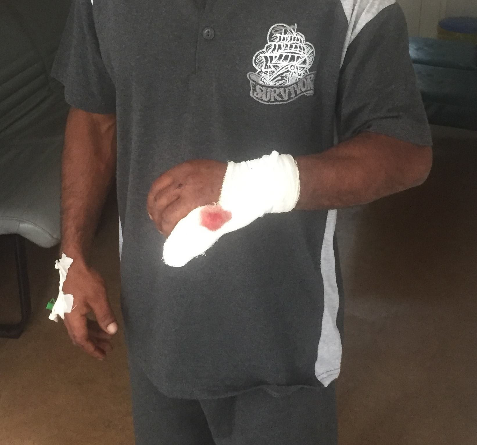 Bărbat atacat de urs, în Harghita. Cum a reuşit să scape