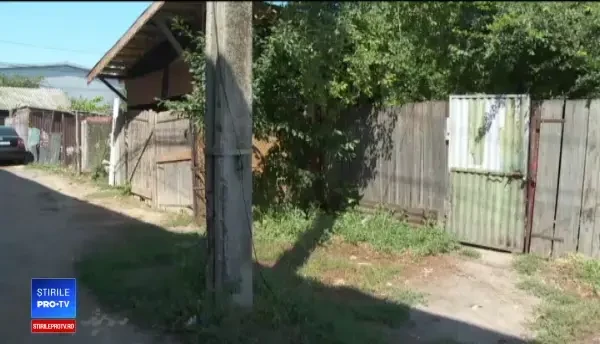 Focar de pestă porcină între blocuri, într-un mare oraş din România. A fost o înscenare