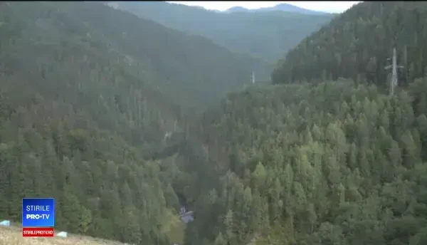 Guvernul a uitat de ultimele păduri sălbatice de pe continent, aflate în România