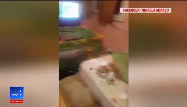 O femeie din Galați şi-a abandonat, într-o mizerie de nedescris, fetiţele. Ar fi fugit cu un iubit.