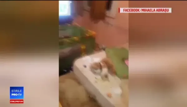 Decizia luată de tatăl fetițelor abandonate de mamă într-o mizerie cumplită, în Galați