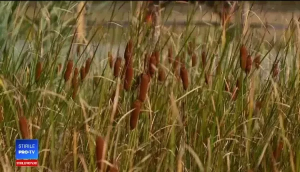 Un olandez se luptă de șapte ani să promvoeze un loc fascinant din România