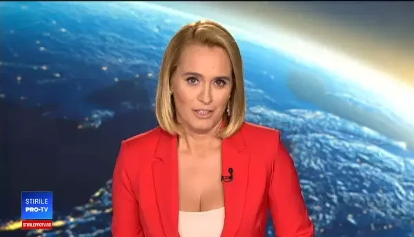 Doi activiști au reunit un ursuleț koala cu mama lui