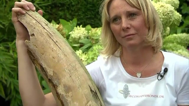 A crezut că a găsit un buștean, însă a făcut o descoperire arheologică uriașă