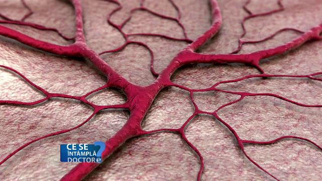 Cum sunt afectate de fumat vasele mici de sânge ce hrănesc retina și structurile din ovar