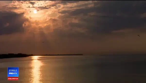 Hamsia, peștele preferat al românilor pe litoral, e adusă de la bulgari.