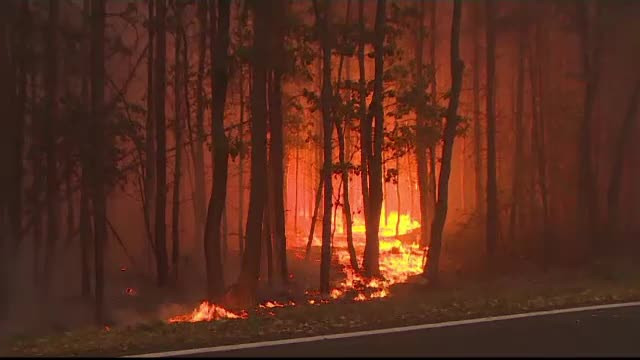 2018 ar putea fi "anul fără toamnă". Incendii în toată Europa Centrală şi de Est
