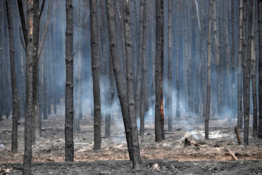 Incendiu langa Berlin
