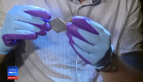 „Vânătoare de lilieci”, la Grădina Botanică din Capitală. Curioșii, dotați cu aparate speciale