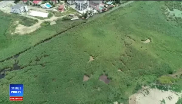 Haos imobiliar în Mamaia Sat, ignorat de autoritățile locale. Nu mai vreau să fiu tratată ca un animal