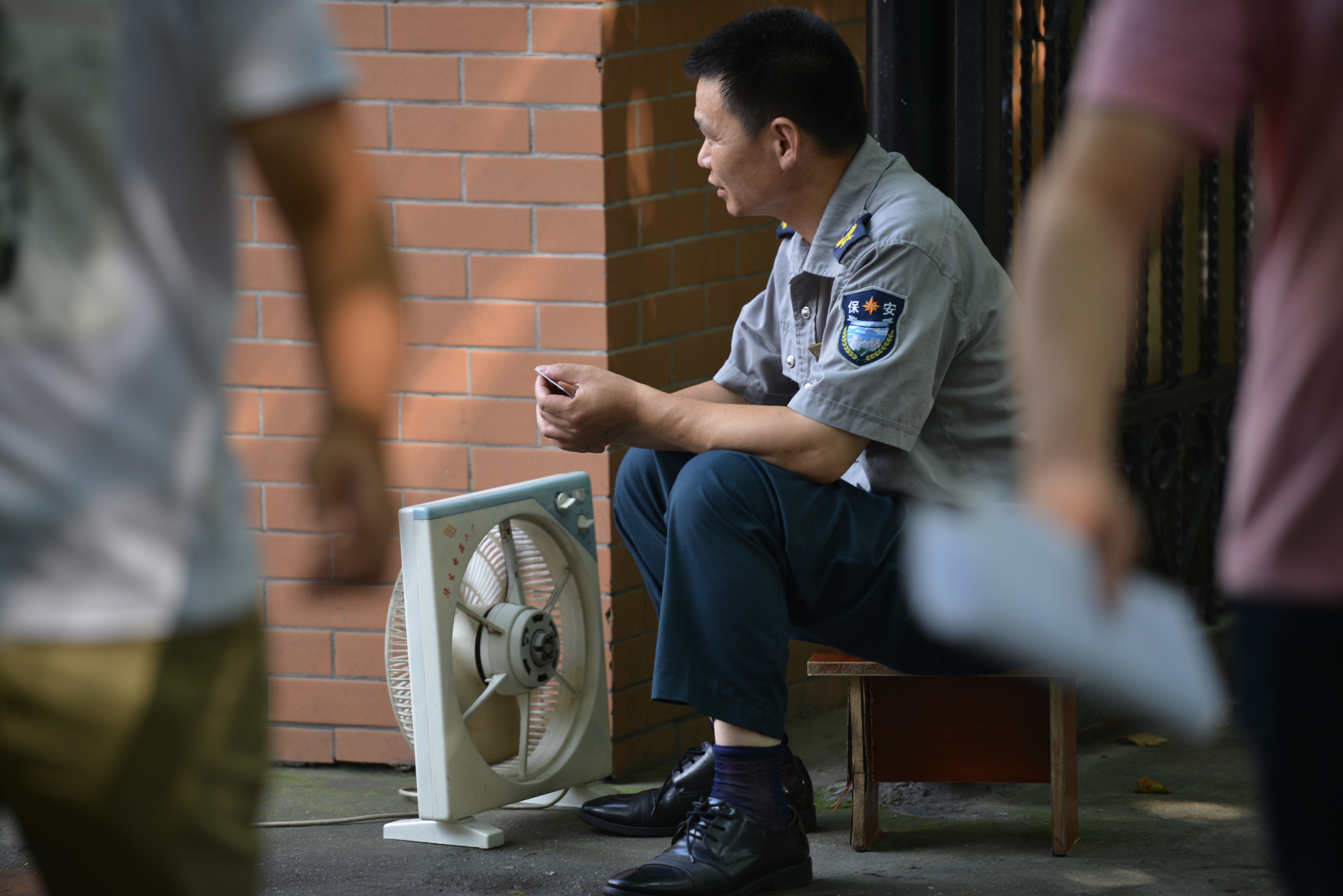 Țara care se confruntă cu cea mai călduroasă vară din ultimele 5 decenii