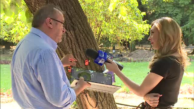 Tomografe pentru arbori, cumpărate de Primăria Capitalei cu 150.000 de lei. ”Bani aruncați aiurea”