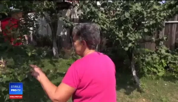 Fenomen neobișnuit în livezile din România: Am rămas uimită, nu mi-a venit să cred