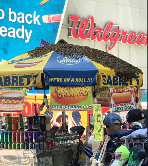 Un stand la care se vinde renumitul hot dog newyorkez, luat cu asalt de albine